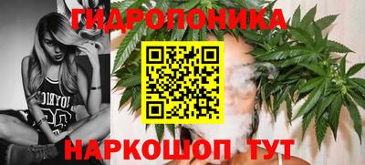 спиды Краснознаменск