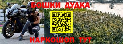 PSILOCYBIN Краснодар