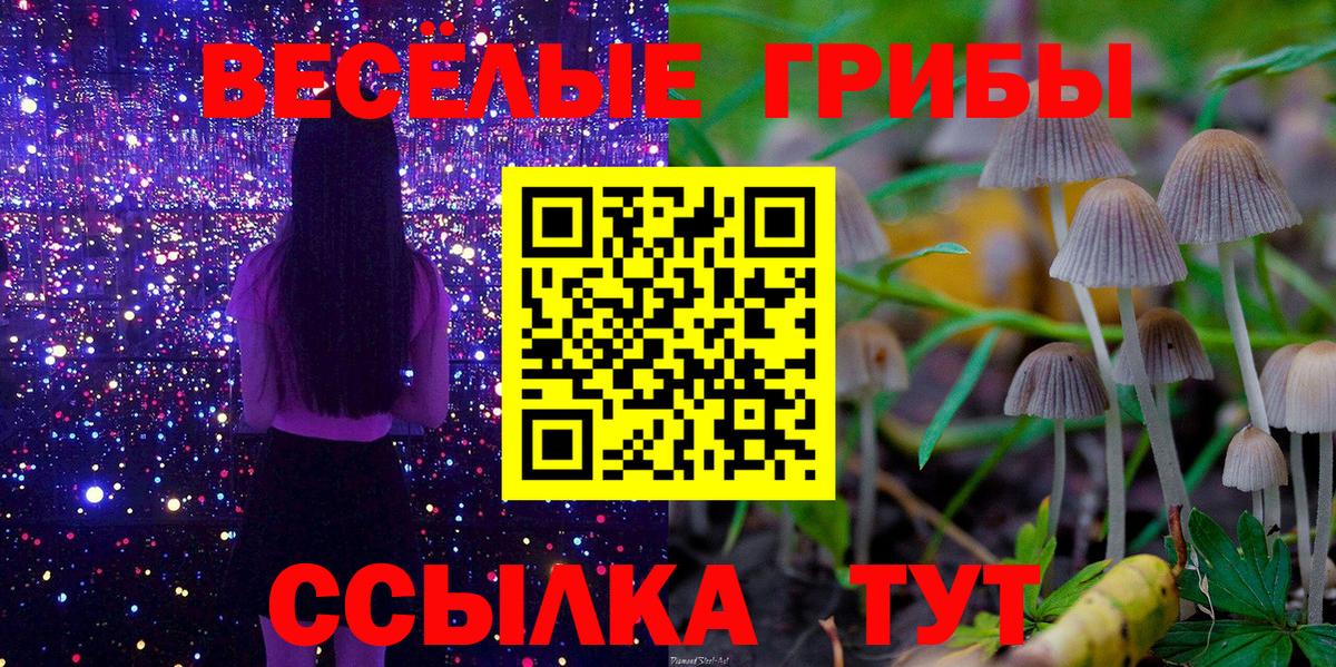 Псилоцибиновые грибы GOLDEN TEACHER  Галлюциногенные грибы Magic Shrooms  где купить наркоту  Вход с VPN  Верхняя Пышма 