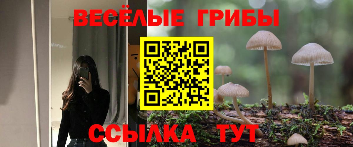 Псилоцибиновые грибы Верхняя Пышма